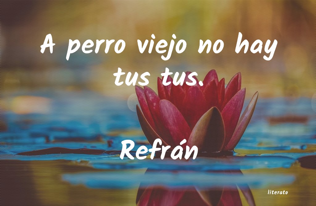 Frases de Refrán