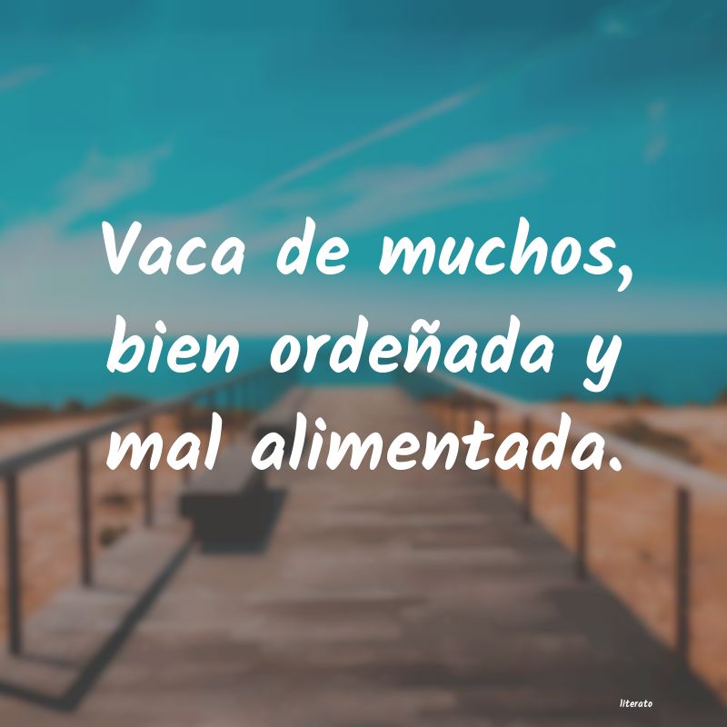 frases
