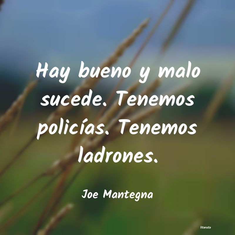 Frases de Joe Mantegna