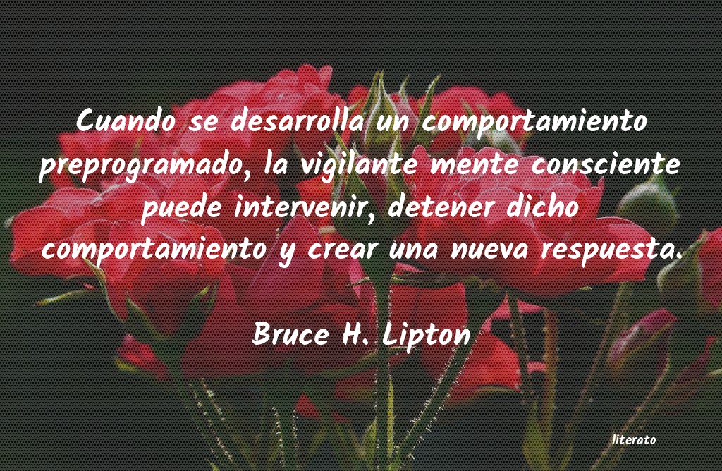 Frases de Bruce H. Lipton