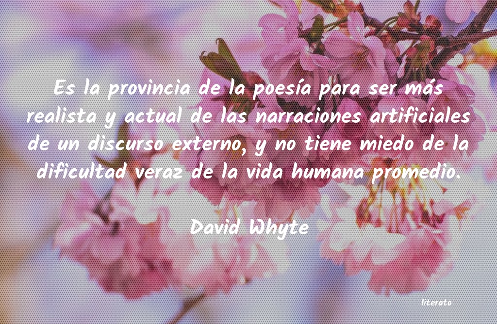 Frases de David Whyte