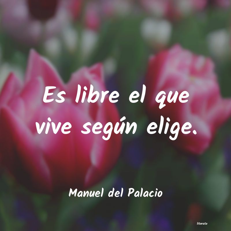 Frases de Manuel del Palacio