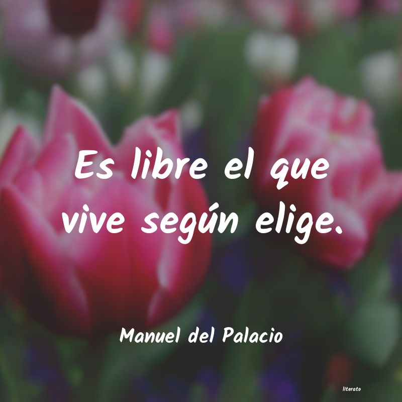 kazantzakis libre