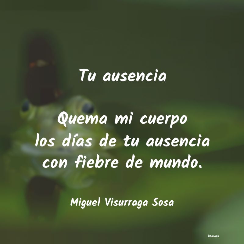 Frases de Miguel Visurraga Sosa