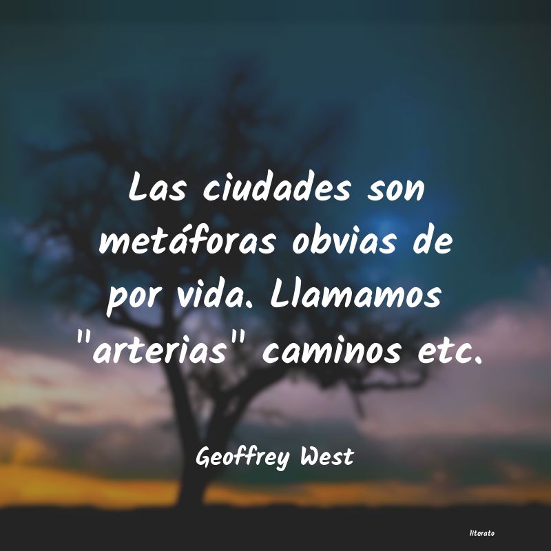 Frases de Geoffrey West