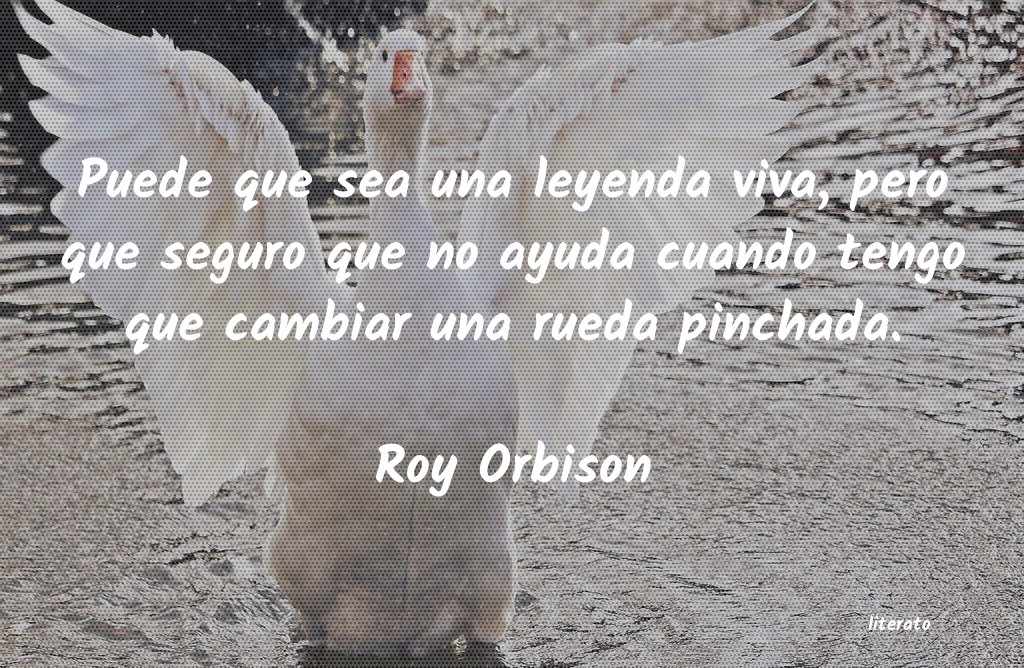 Frases de Roy Orbison