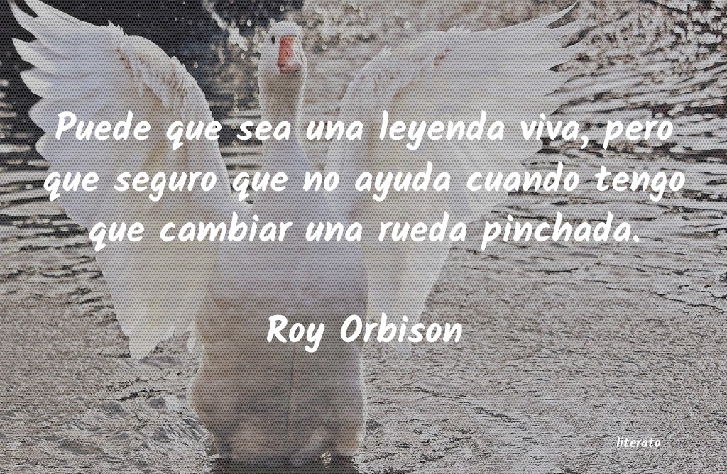 frases de Roy Orbison