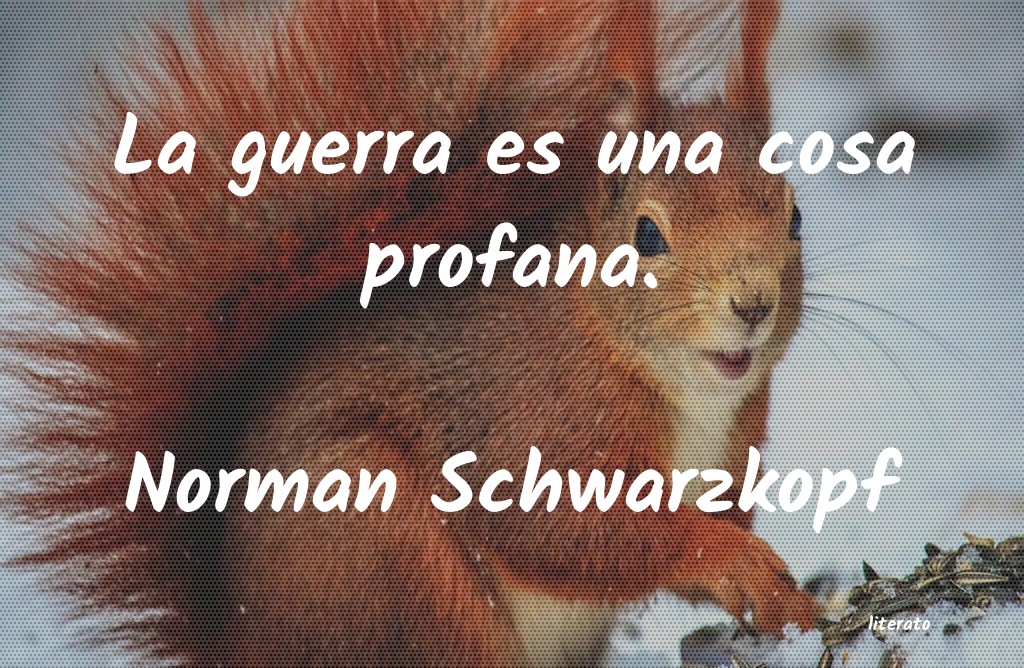 Frases de Norman Schwarzkopf