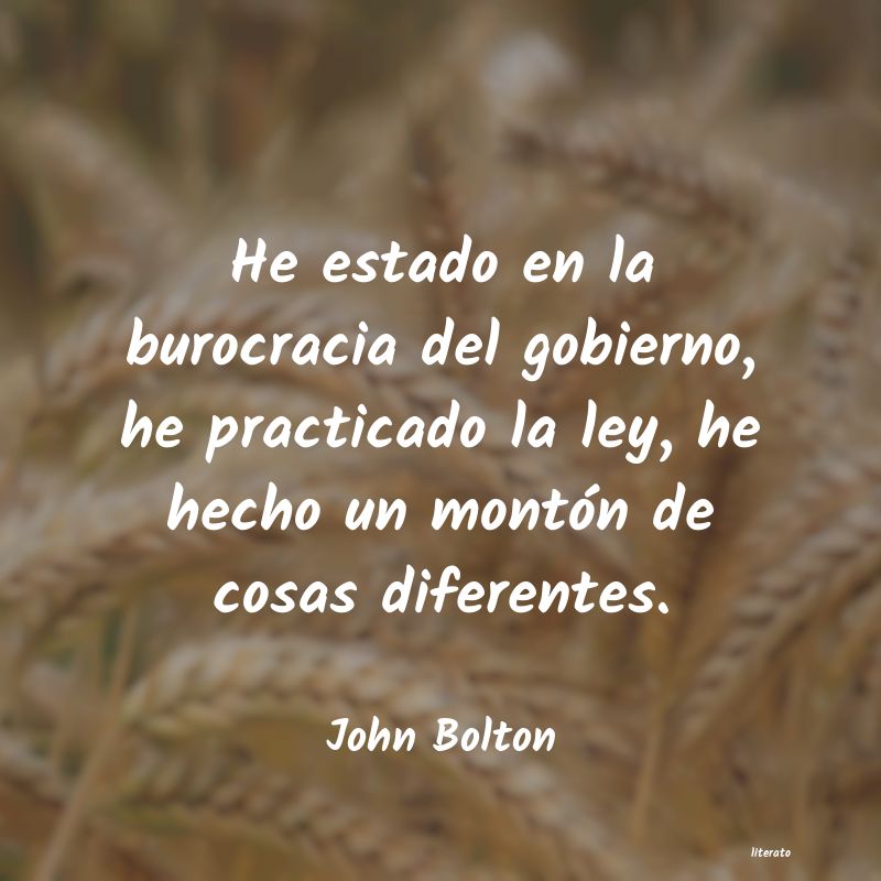 Frases de John Bolton