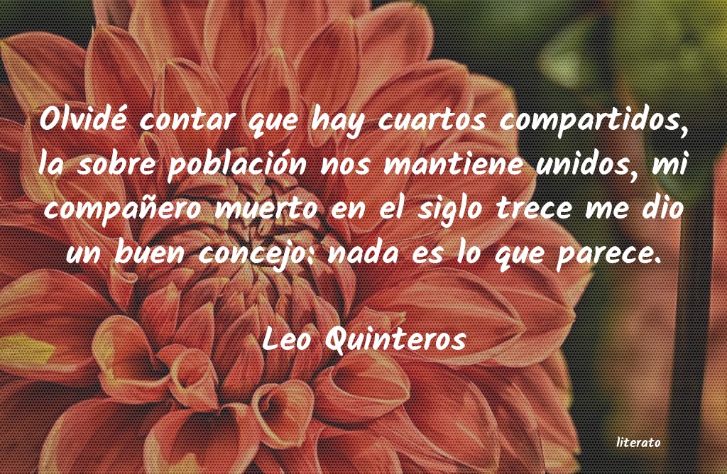 Frases de Leo Quinteros