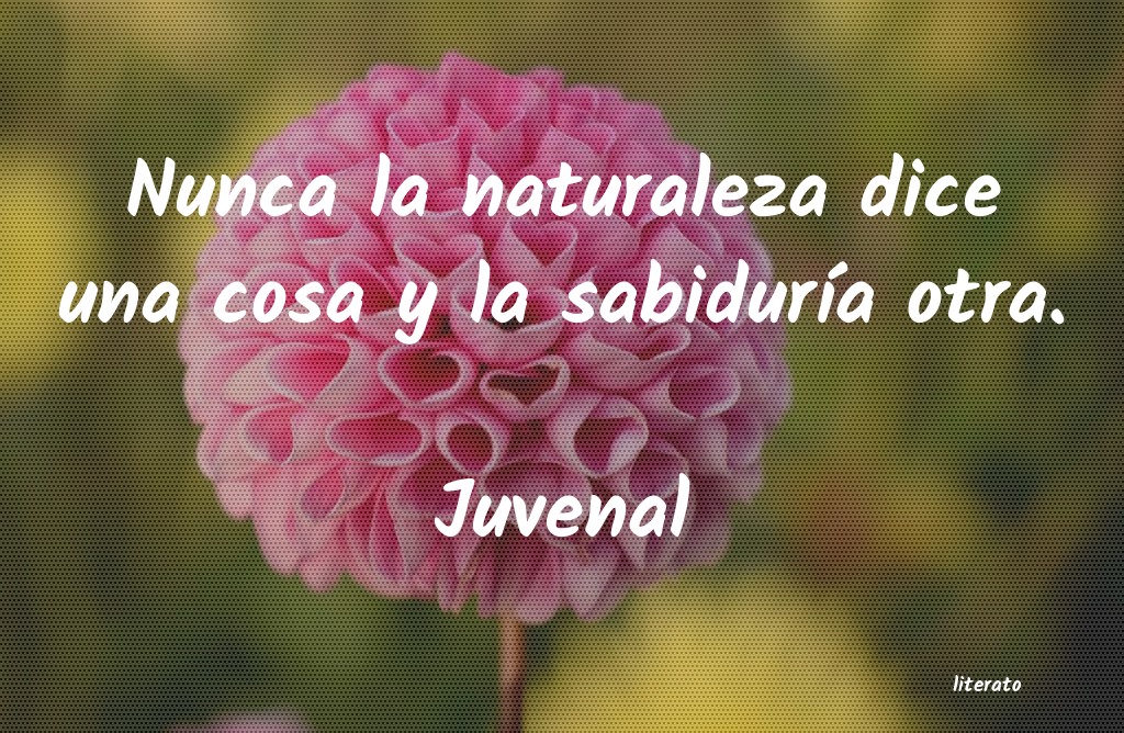 frases de Juvenal