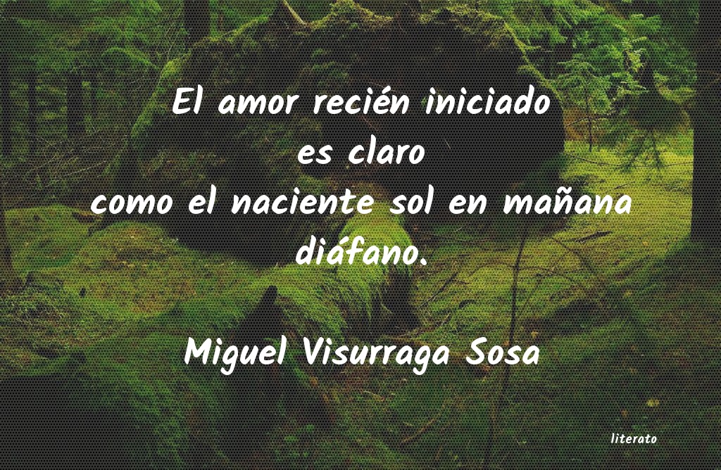 Frases de Miguel Visurraga Sosa