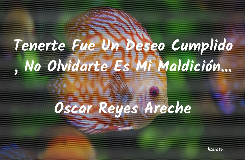 Frases de Oscar Reyes Areche