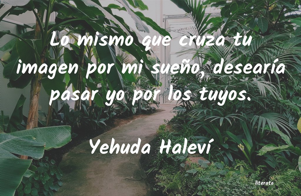 Frases de Yehuda Haleví