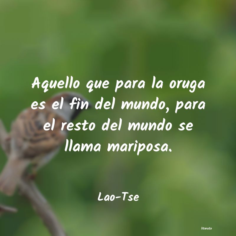 Frases de Lao-Tse