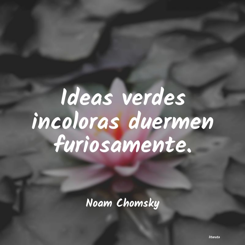 Frases de Noam Chomsky