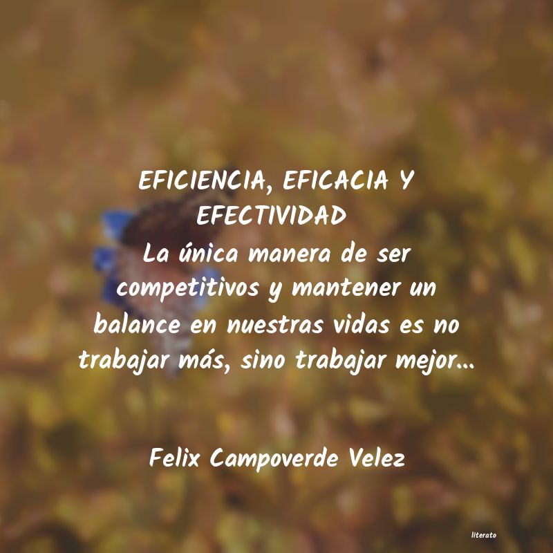 Frases de eficiencia - Literato