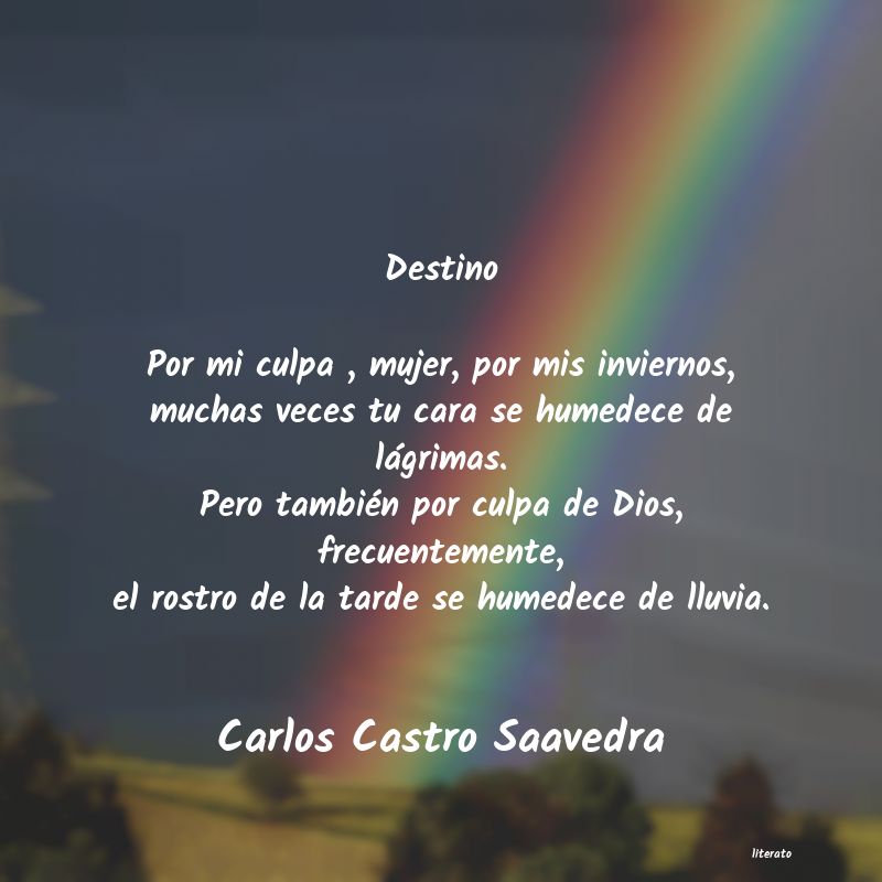 Frases de Carlos Castro Saavedra