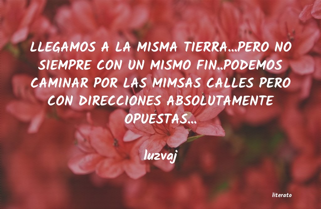 frases de luzvaj