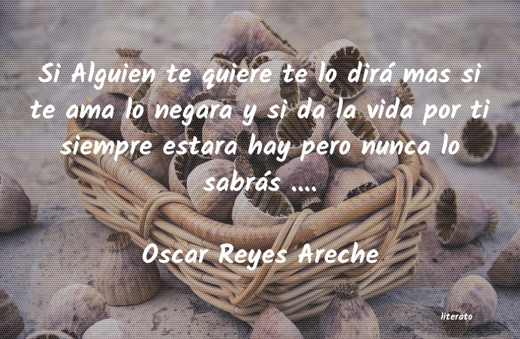 Frases de Oscar Reyes Areche