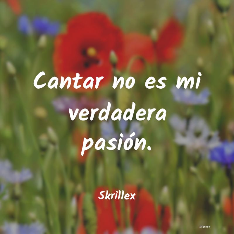 frases de Skrillex