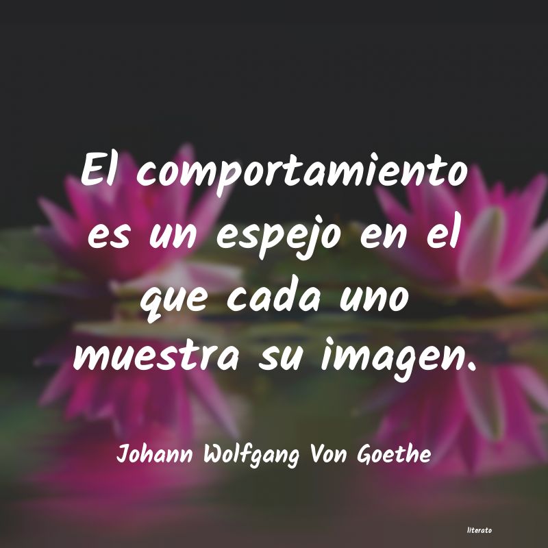 Frases de Johann Wolfgang Von Goethe