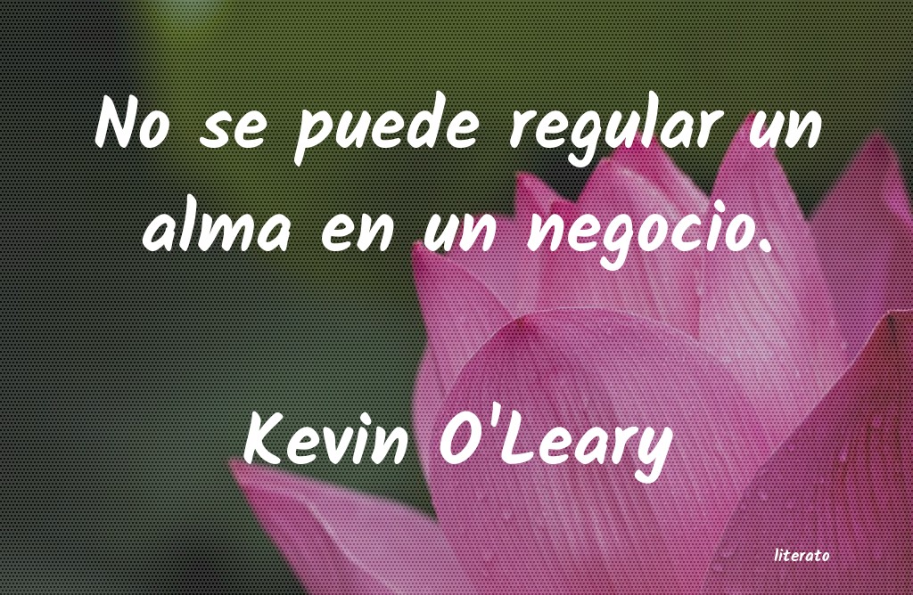 Frases de Kevin O'Leary