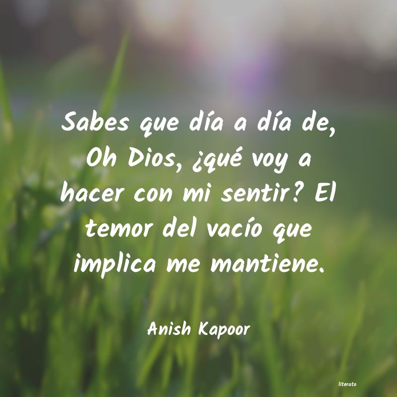 frases de Anish Kapoor