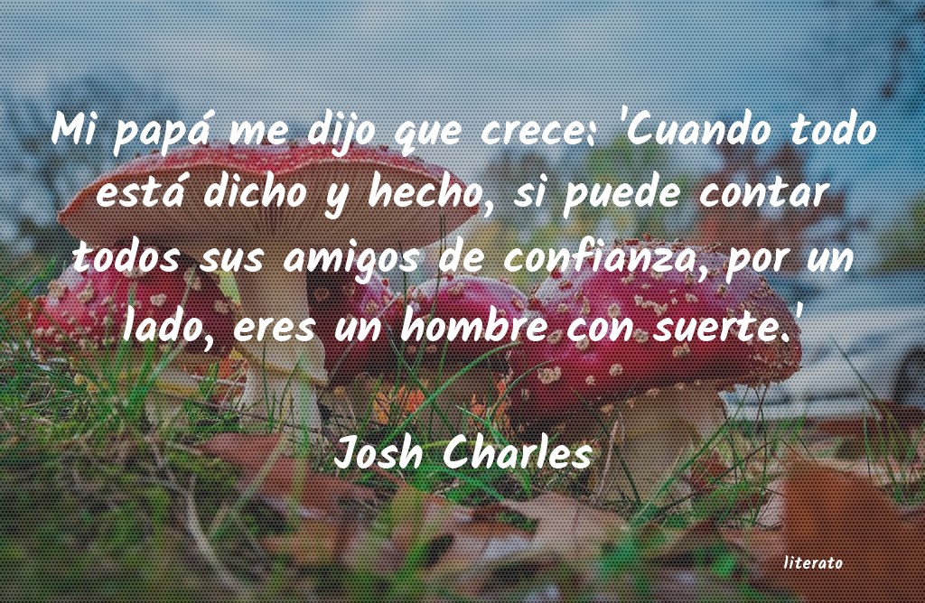 Frases de Josh Charles