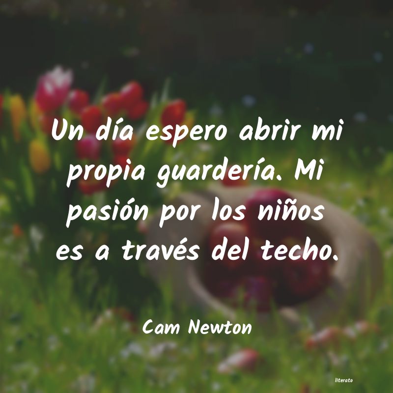 frases de Cam Newton