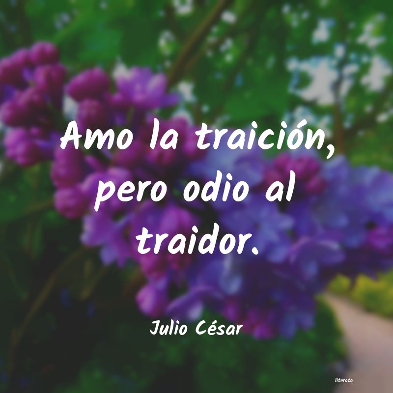 Frases de Julio César