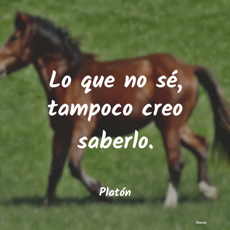 frases de PlatÃ³n