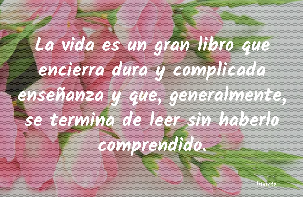libro aura o las violetas