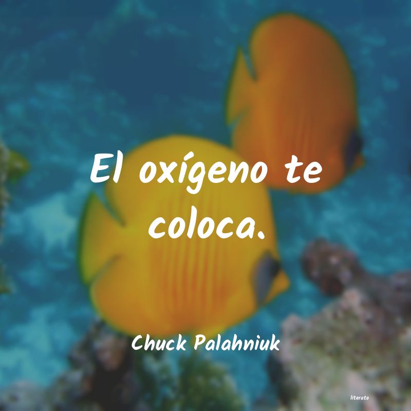 frases de Chuck Palahniuk