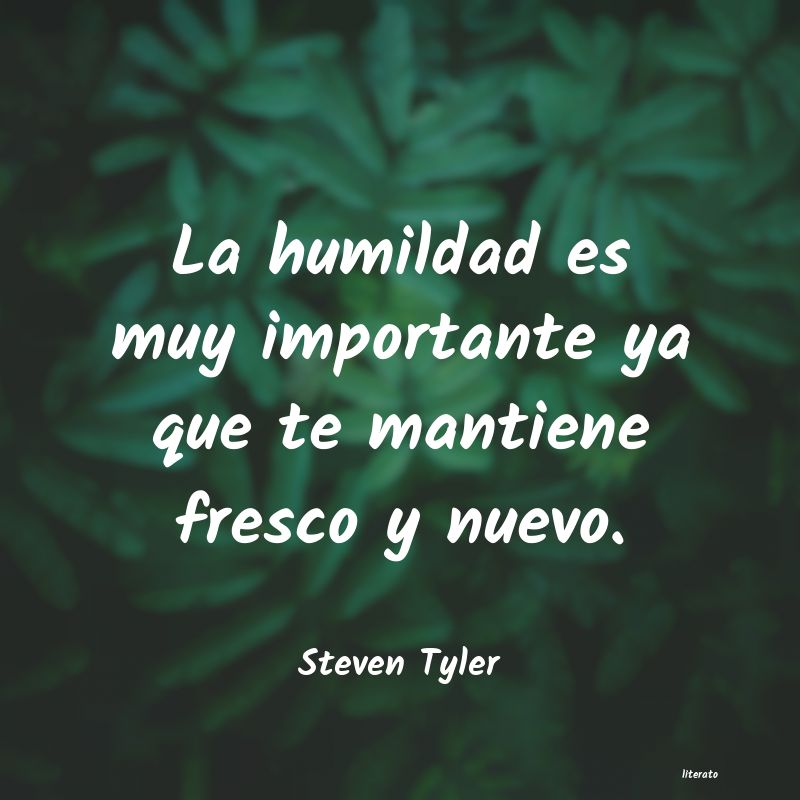 Frases de Steven Tyler