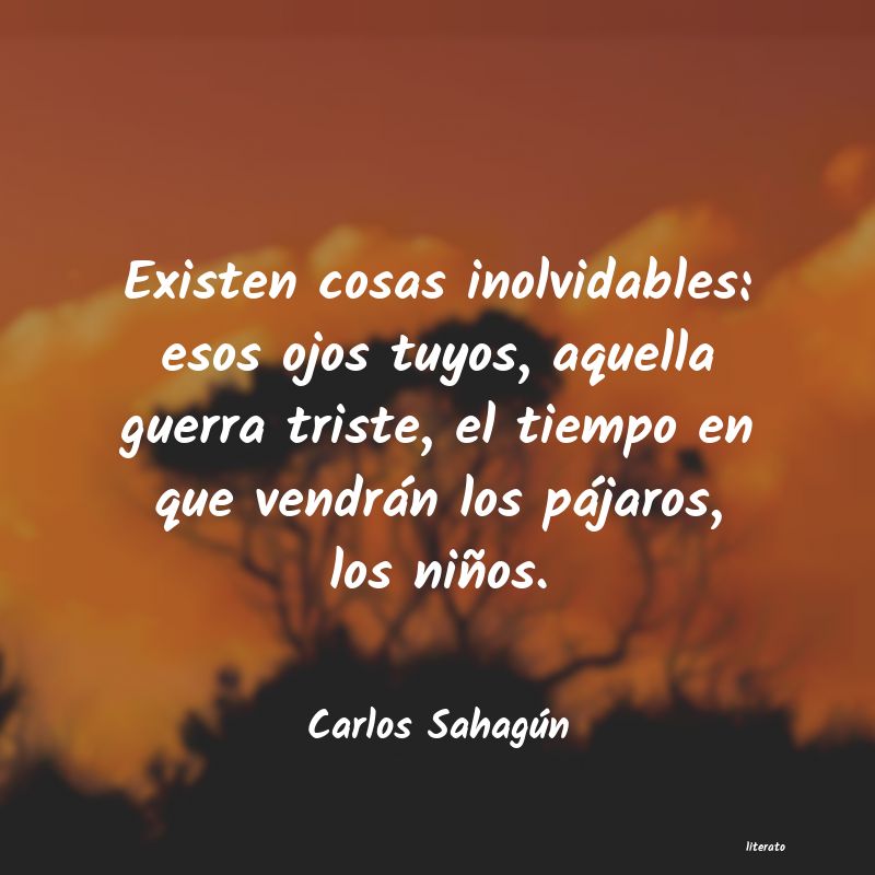 Frases de Carlos Sahagún