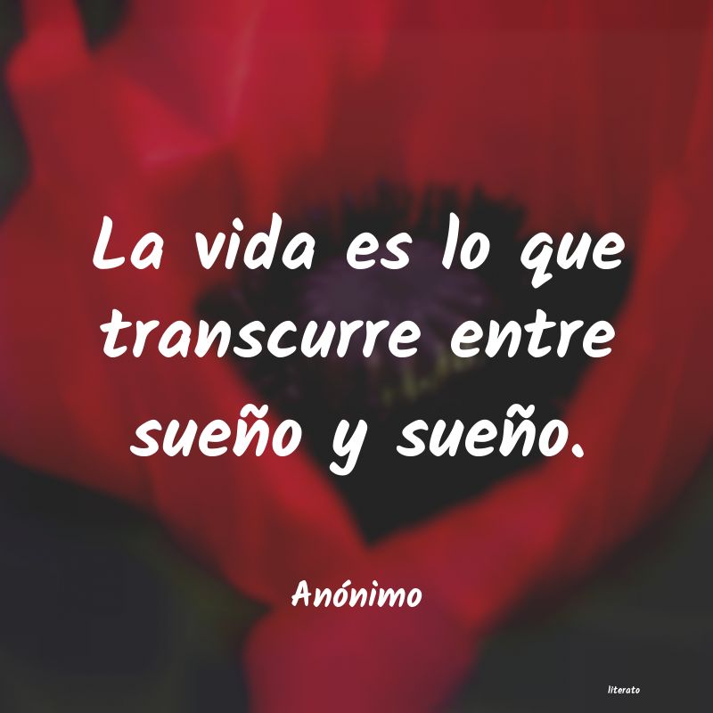 frases