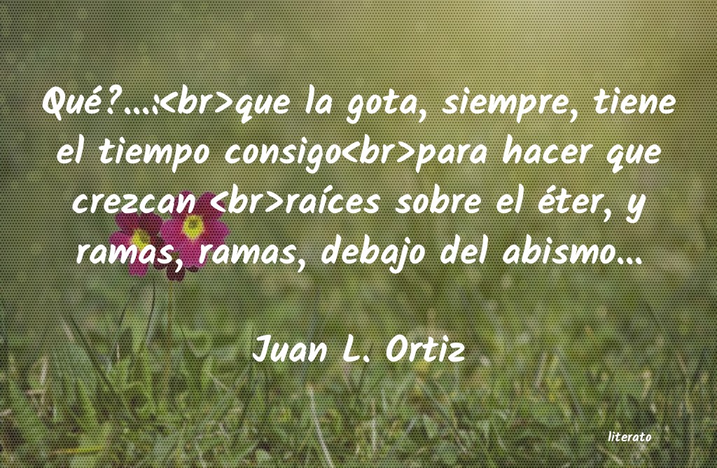 Frases de Juan L. Ortiz