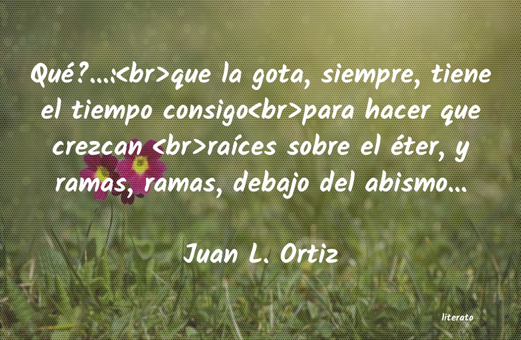 frases de Juan L. Ortiz