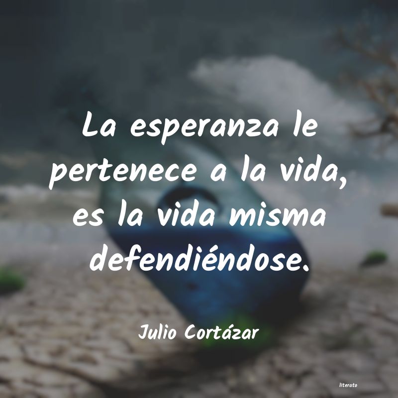 Frases de Julio Cortázar