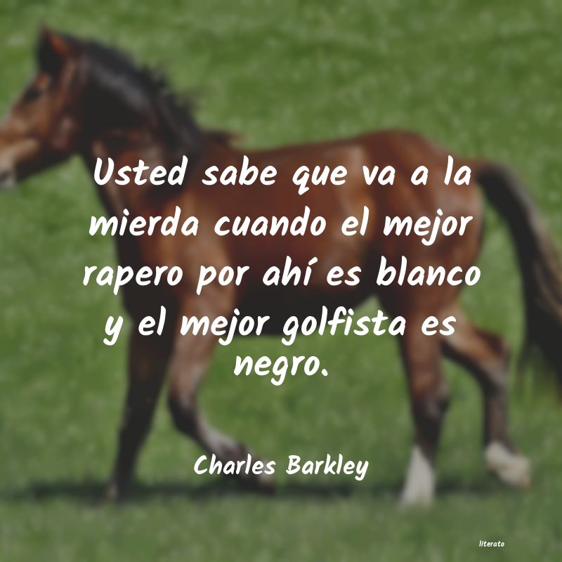 frases de Charles Barkley