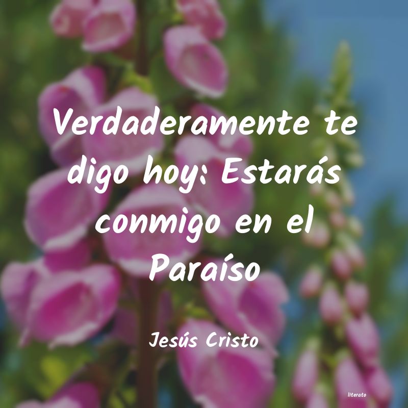 Frases de Jesús Cristo