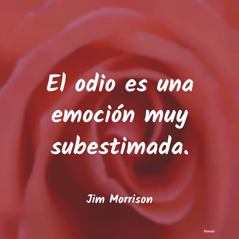 Frases de Jim Morrison