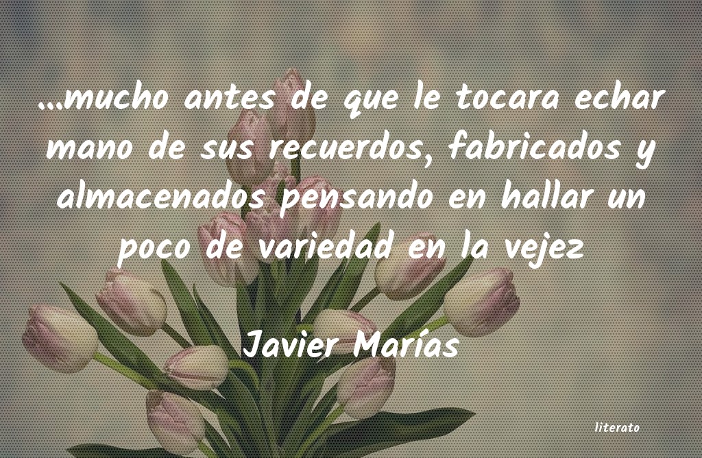 Frases de Javier Marías