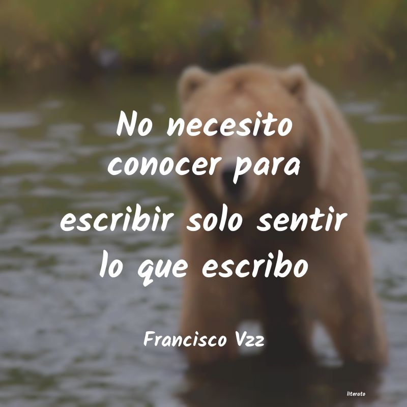 Frases de Francisco Vzz