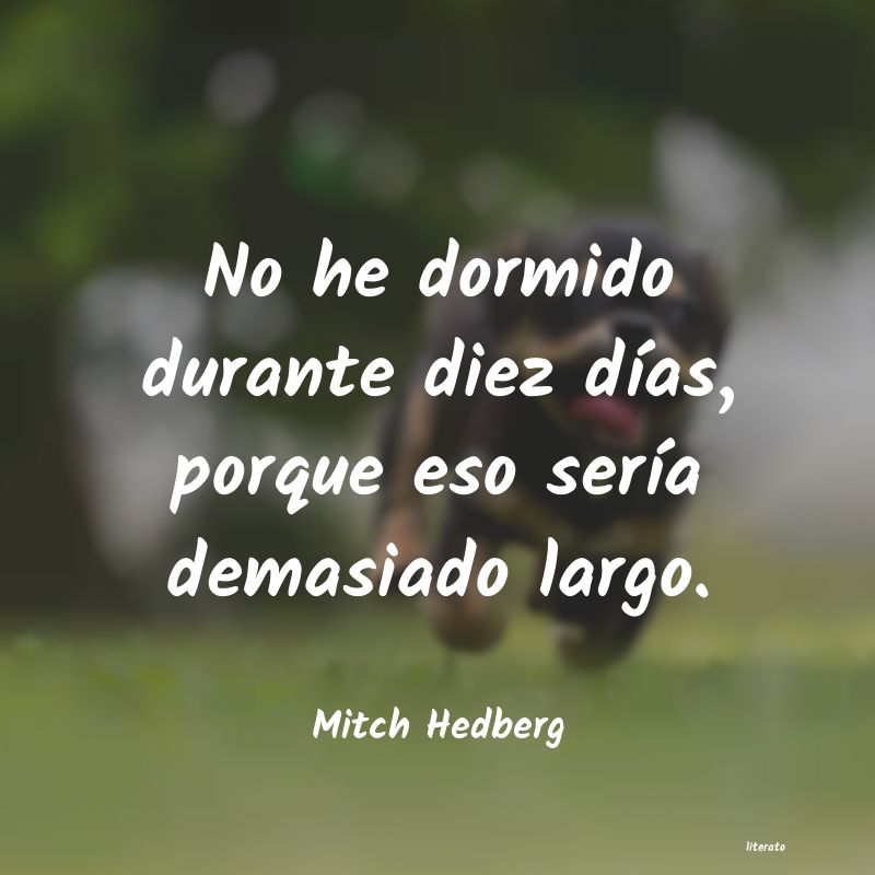 Frases de Mitch Hedberg