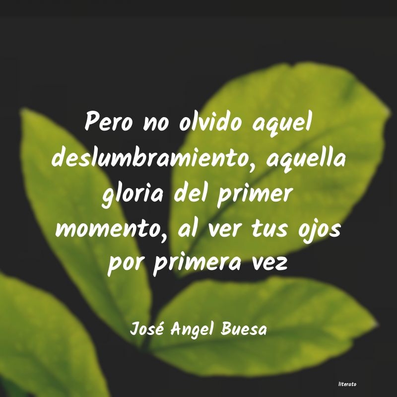 Frases de José Angel Buesa