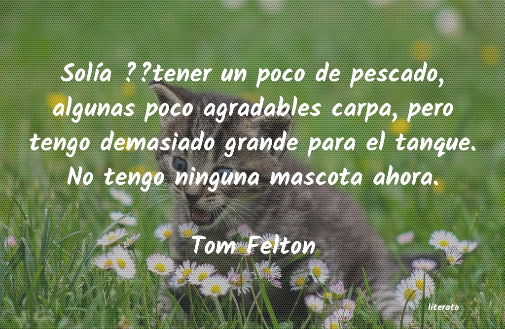frases de Tom Felton