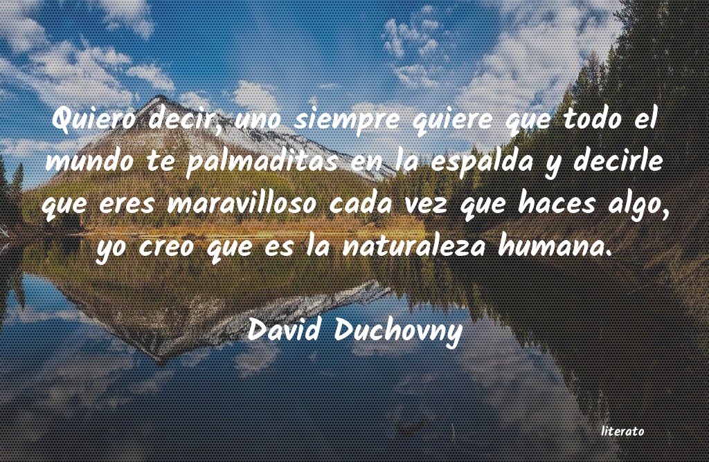 frases de David Duchovny