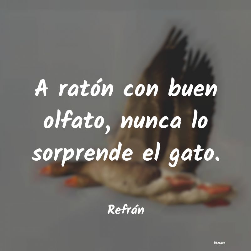 Frases de Refrán